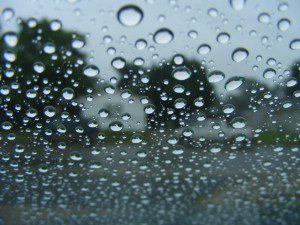 water_beads_on_glass_surface