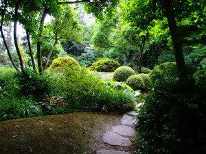 Praha,_Troja,_Botanická_zahrada,_Japonská_zahrada
